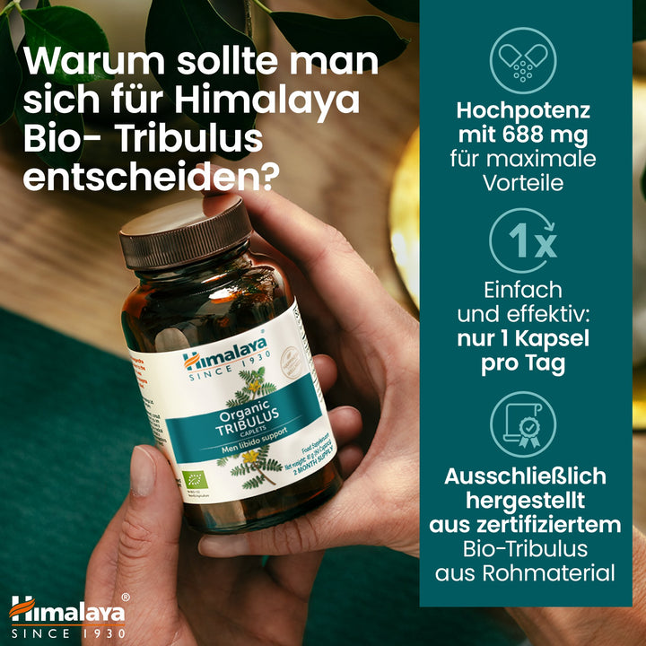 Himalaya Organic Tribulus (Gokshura)