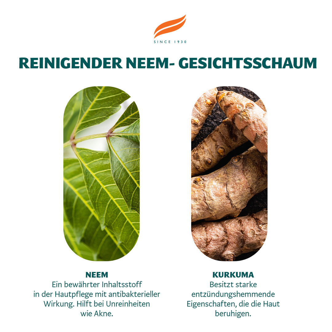 Himalaya Neem Gesichtswaschschaum - 150ml