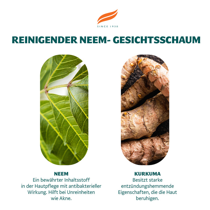 Himalaya Neem Gesichtswaschschaum - 150ml