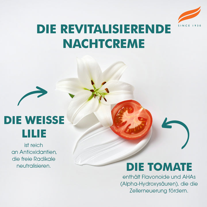 Himalaya Revitalisierende Nachtcreme - 50g