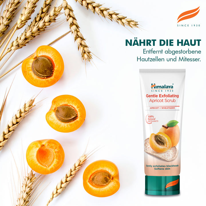 Himalaya Sanftes Aprikosenpeeling - 75ml