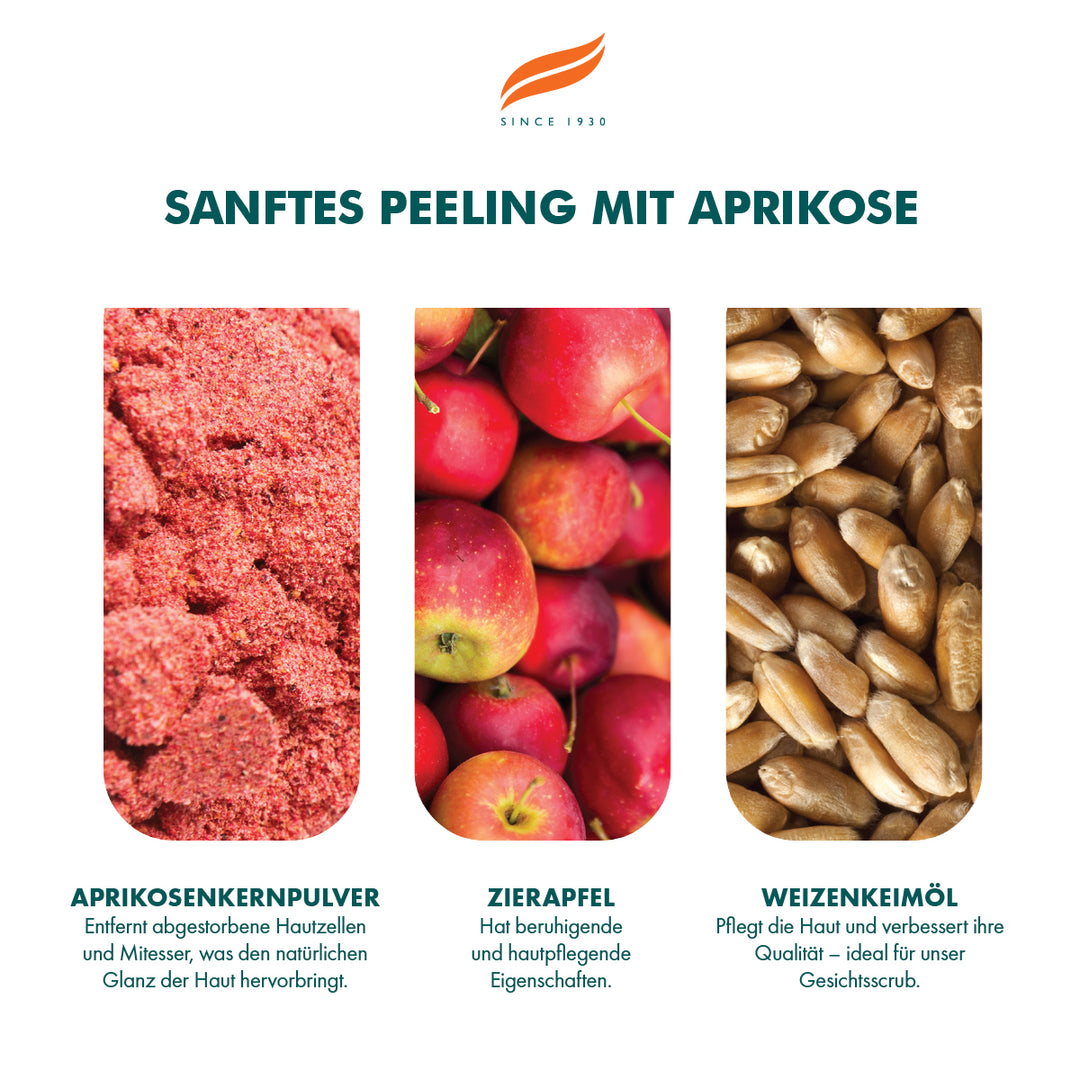 Himalaya Sanftes Aprikosenpeeling - 75ml