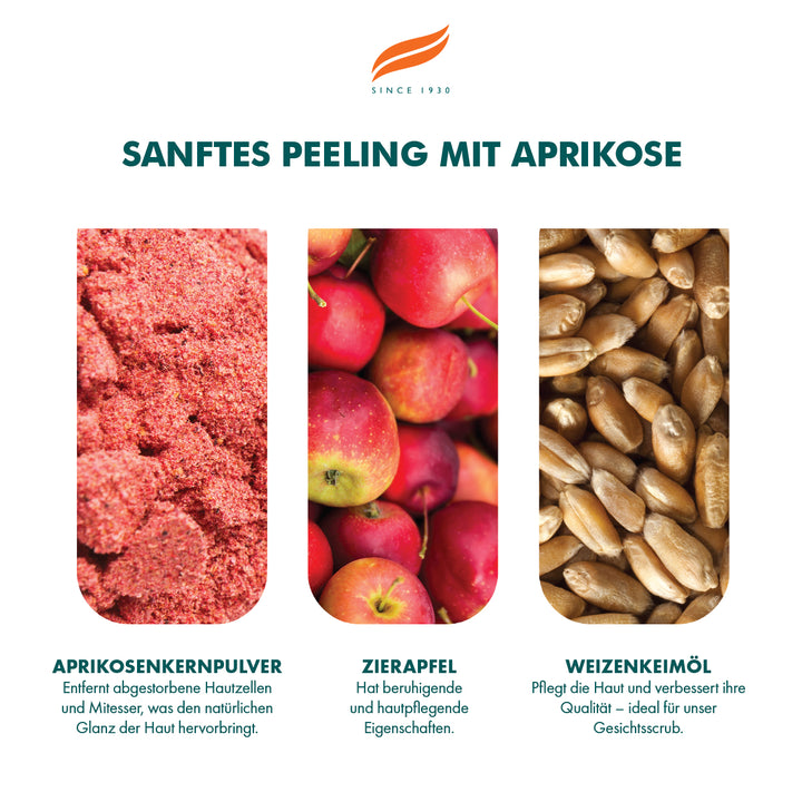 Himalaya Sanftes Aprikosenpeeling - 75ml