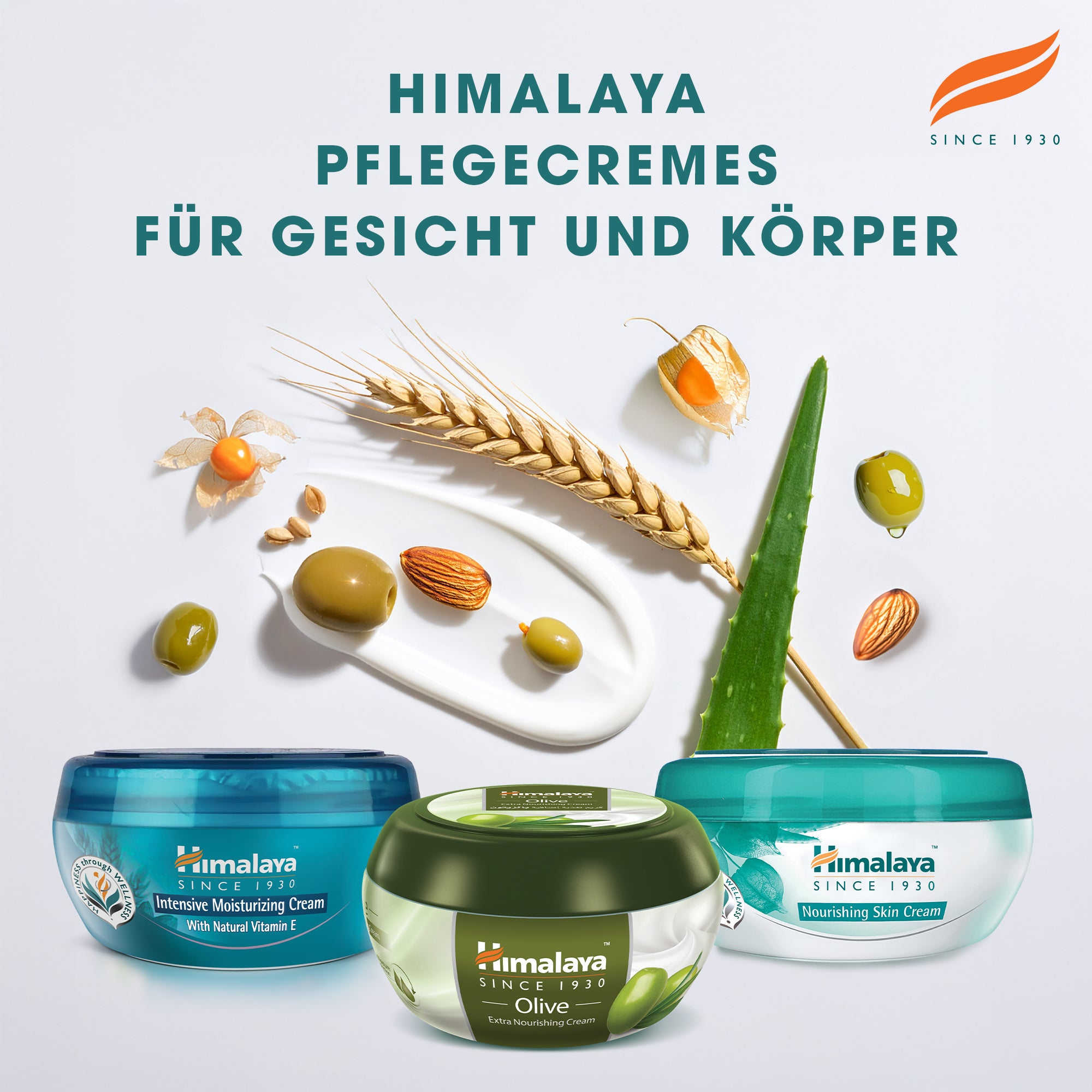 Human+Kind Handcreme Holunderblüte & Himbeere – Mit Avocadoöl & Sheabutter, Schnell Einziehend