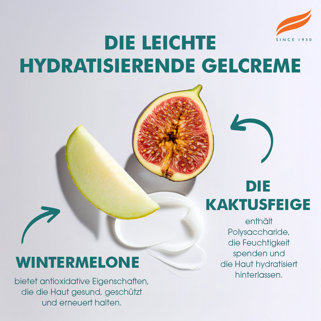 Himalaya Leichte feuchtigkeitsspendende Gel-Creme - 50g