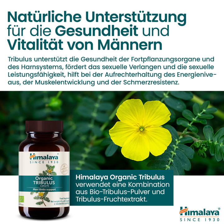 Himalaya Organic Tribulus (Gokshura)