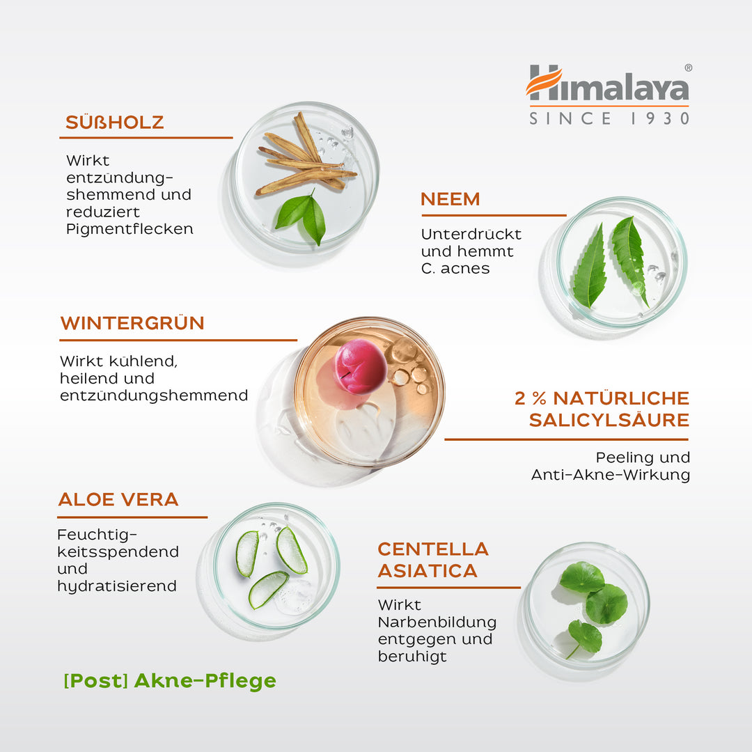 Himalaya Acne Clear+ Serum zur Narbenentfernung