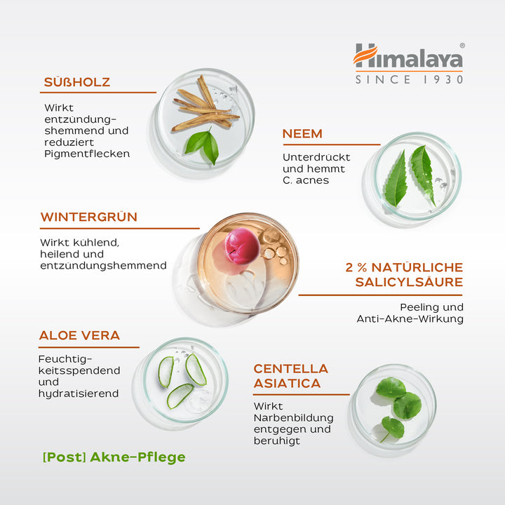 Himalaya Acne Clear+ Serum zur Narbenentfernung