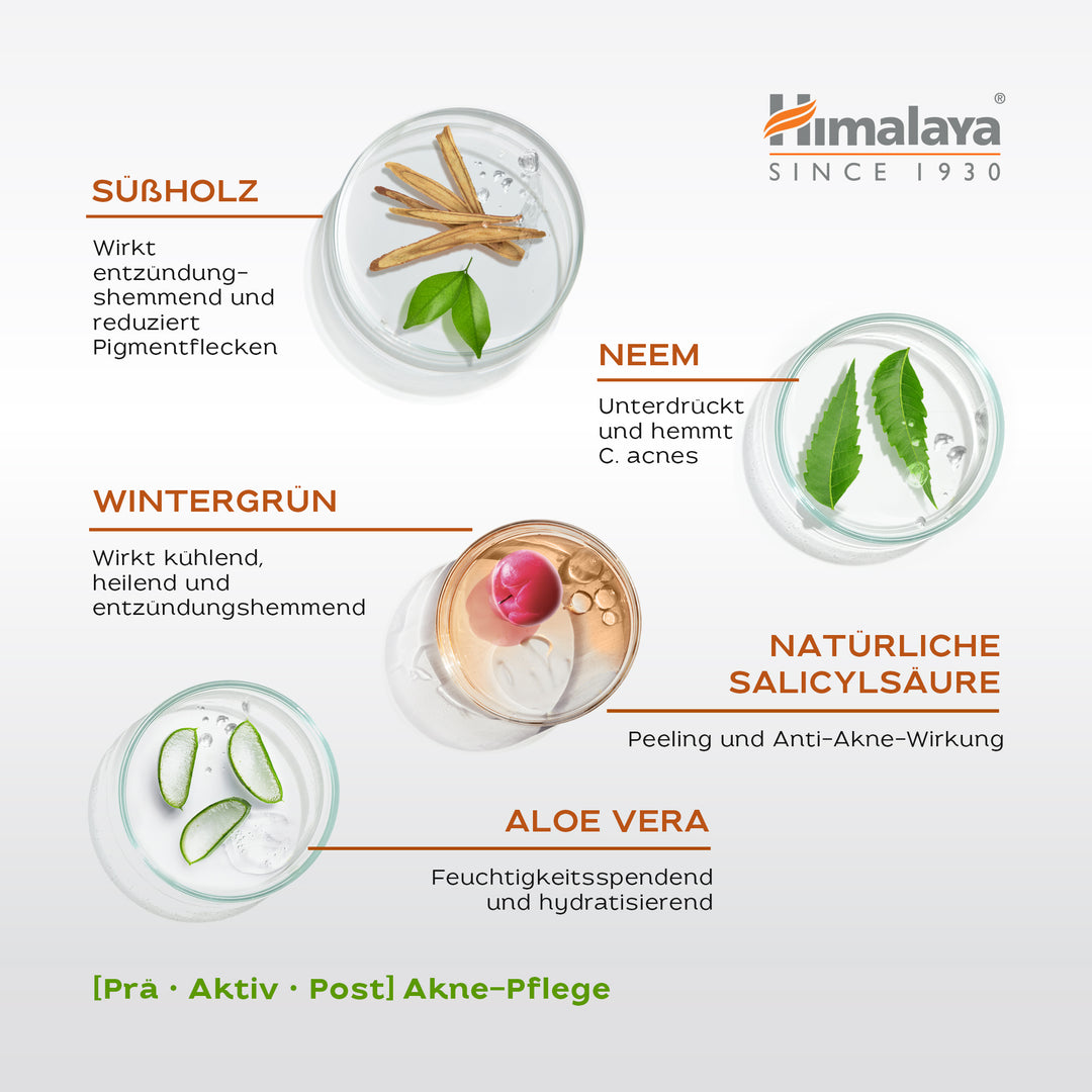 Himalaya Acne Clear+ Feuchtigkeitsgel