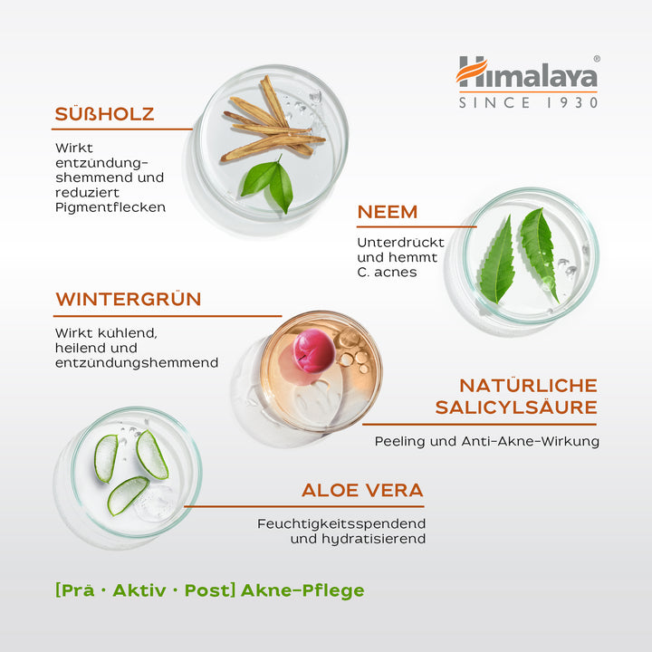 Himalaya Acne Clear+ Feuchtigkeitsgel