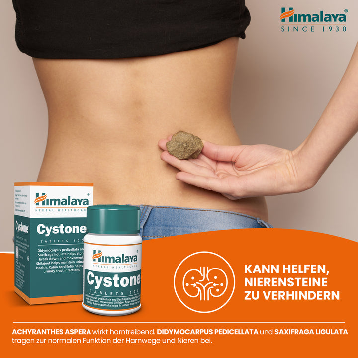 Himalaya Cystone - 100 Tablets (Pack of 3)