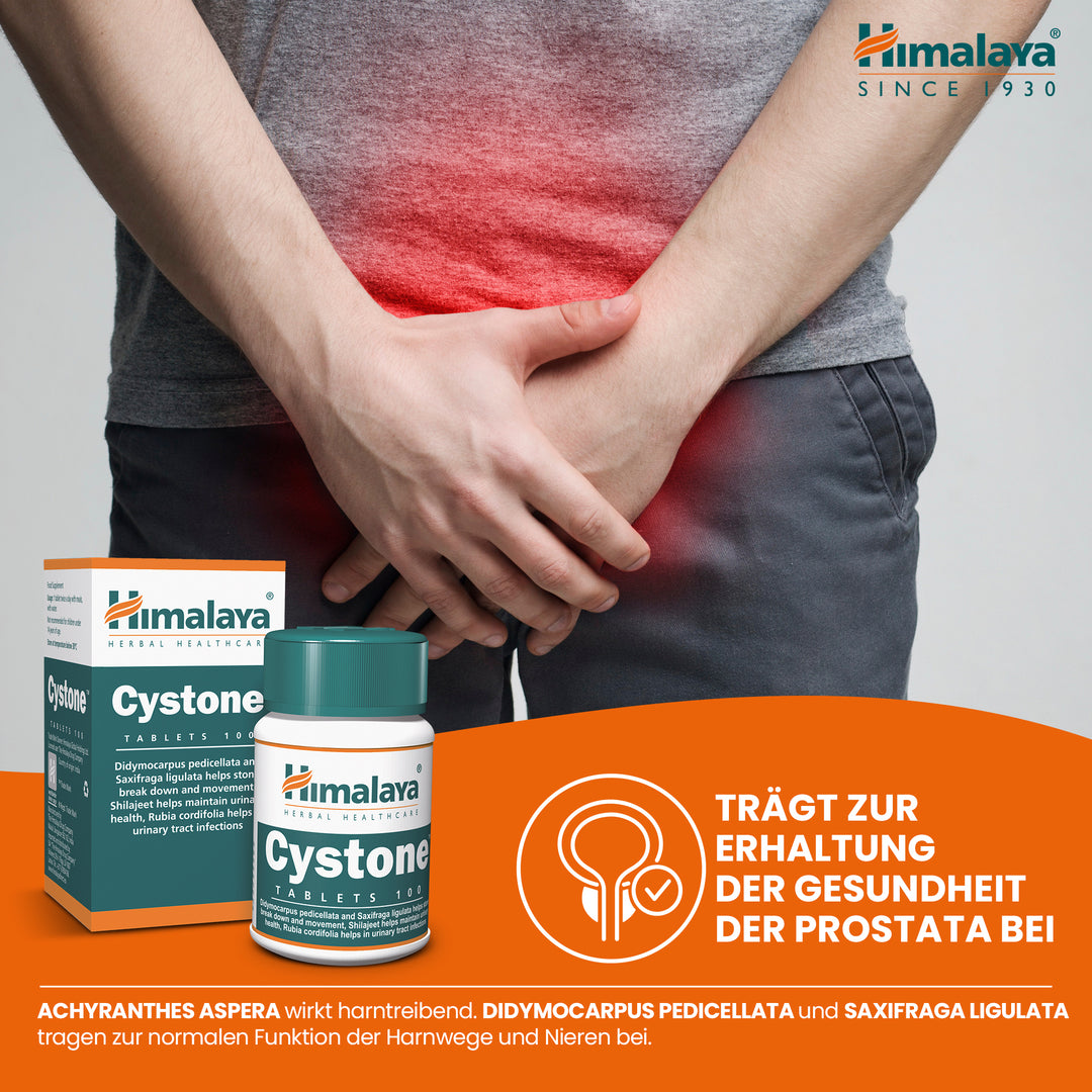 Himalaya Cystone - 100 Tablets (Pack of 3)