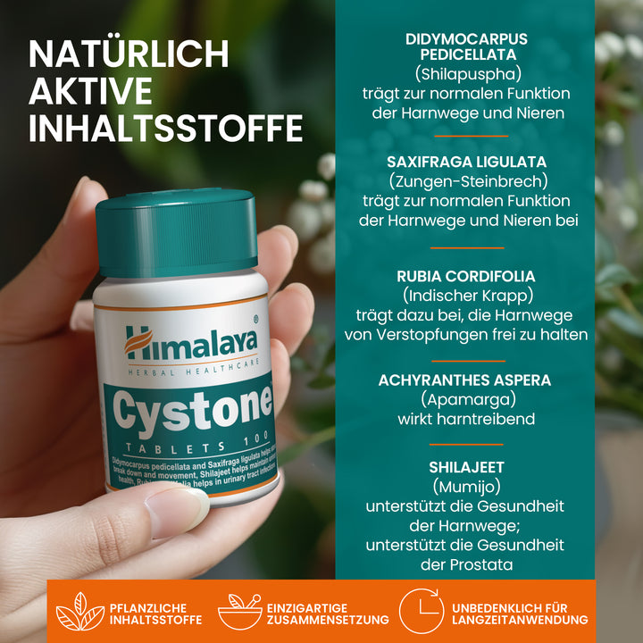 Himalaya Cystone - 100 Tablets (Pack of 3)