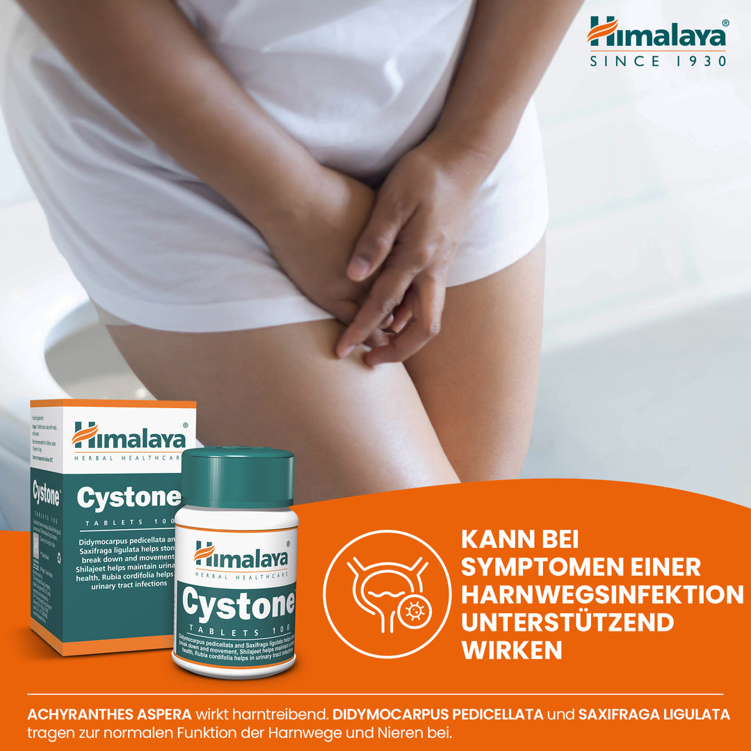 Himalaya Cystone - 100 Tablets (Pack of 3)