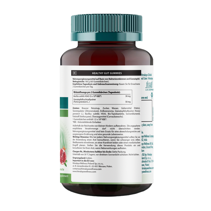 Himalaya Healthy Gut Gummies