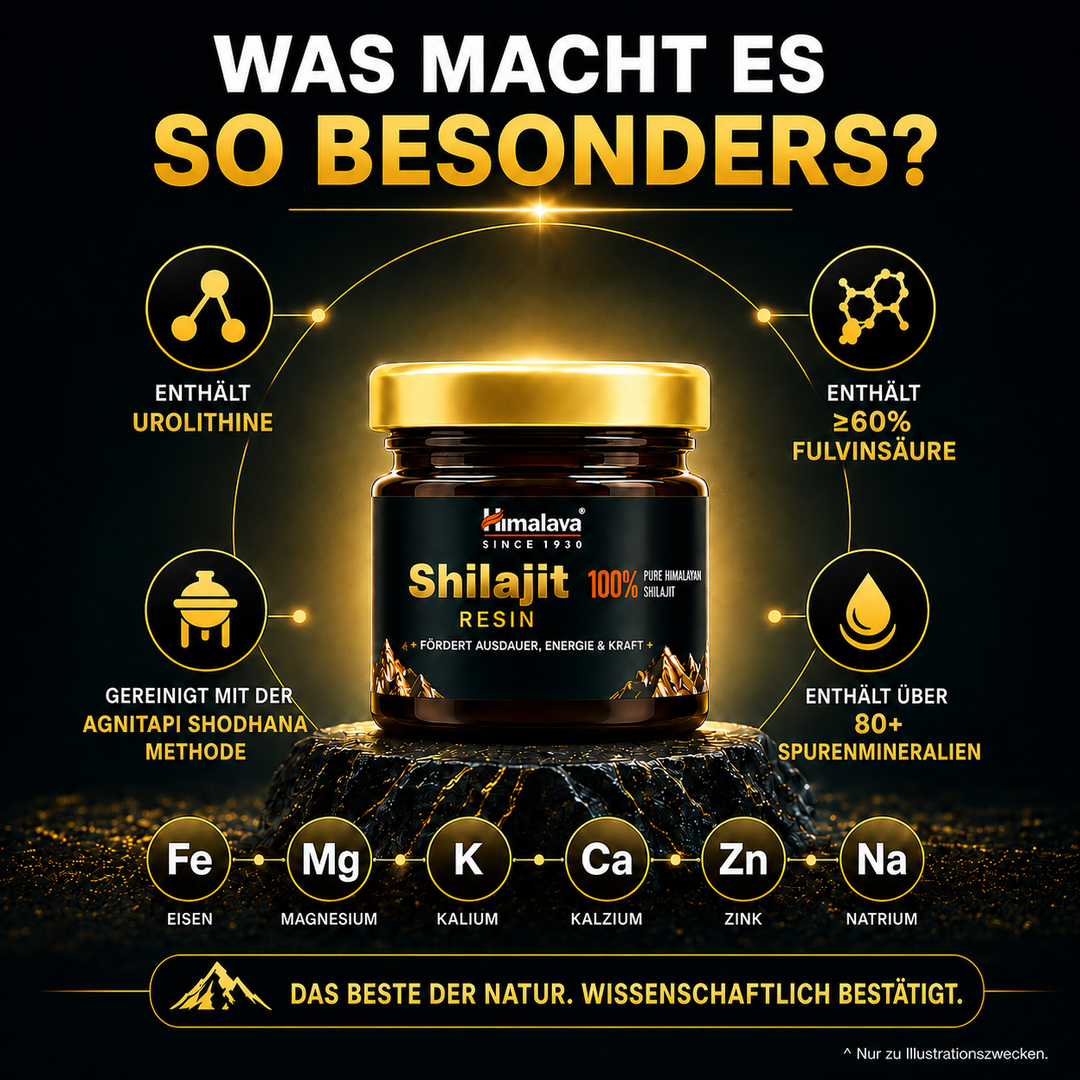 Himalaya SHILAJIT RESIN