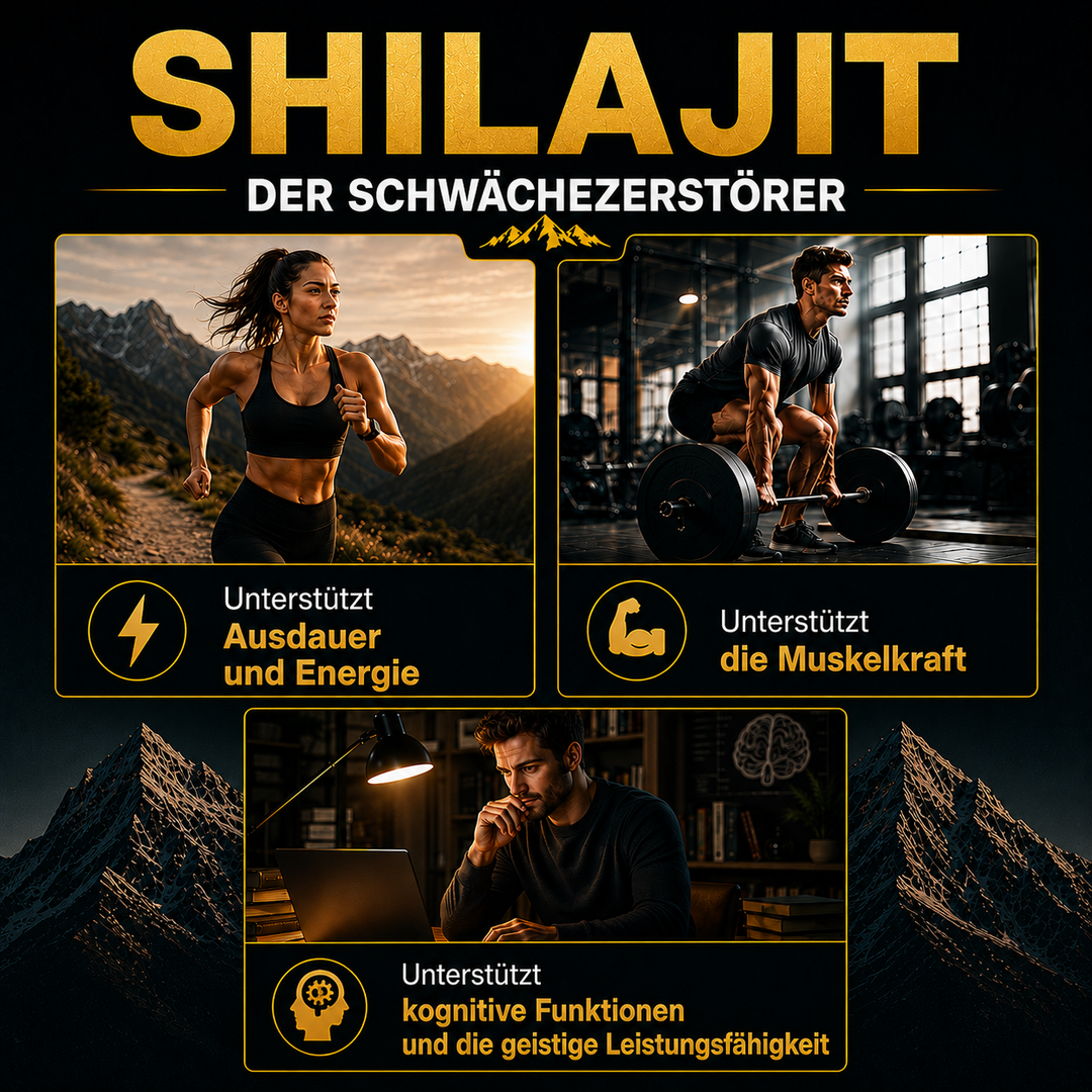 Himalaya SHILAJIT RESIN