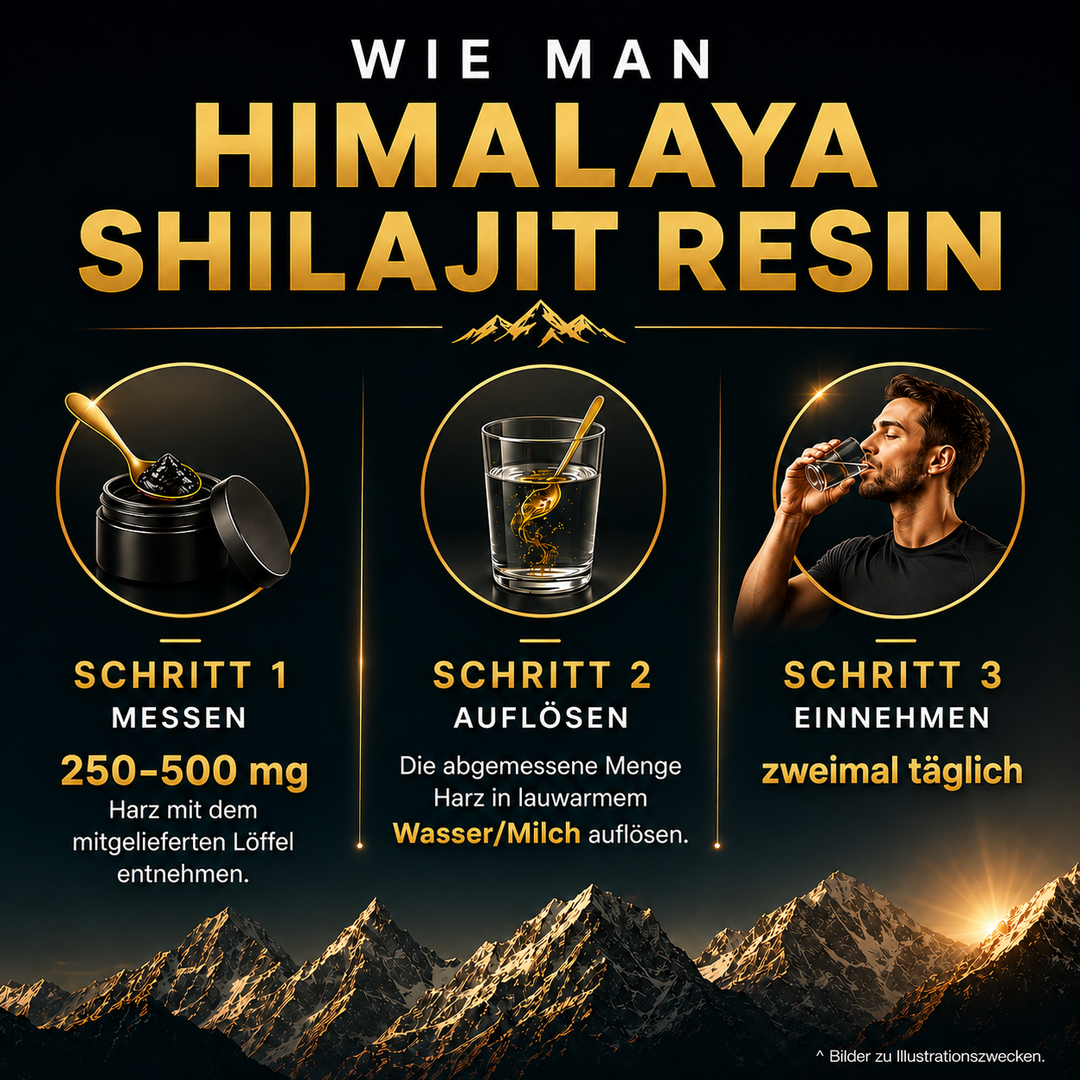 Himalaya SHILAJIT RESIN