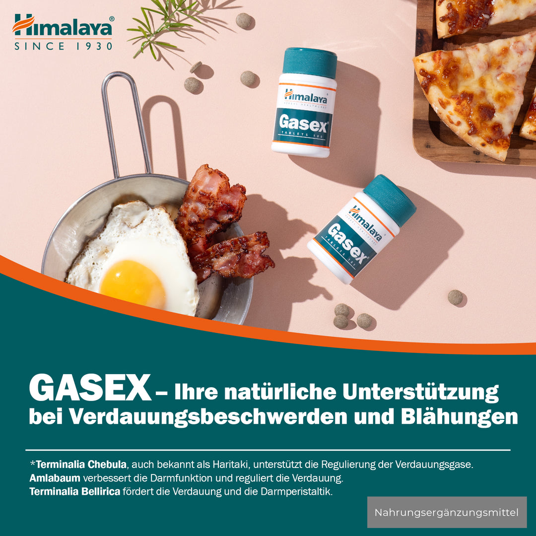 Himalaya Gasex - 100 Tablets