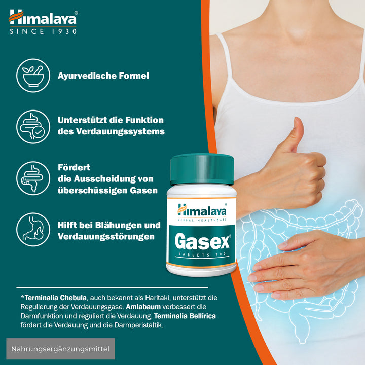 Himalaya Gasex - 100 Tablets