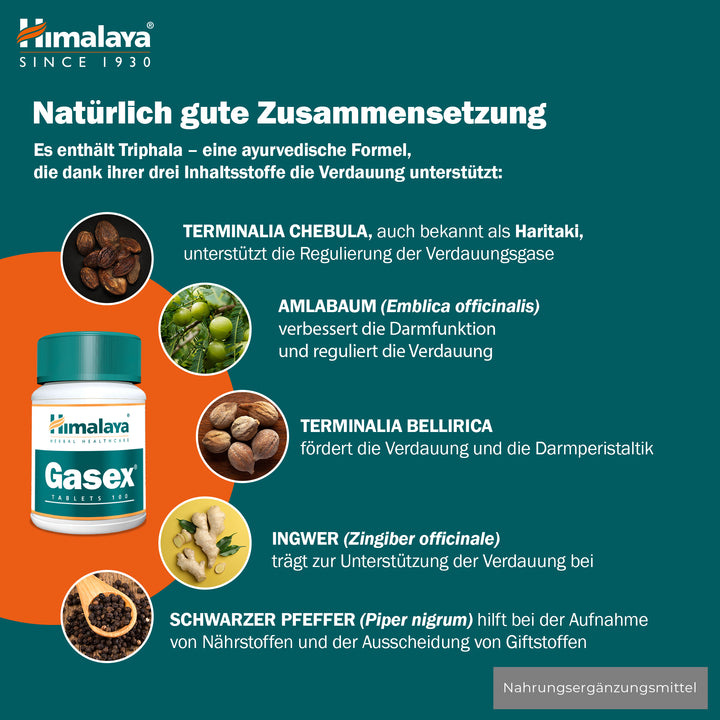 Himalaya Gasex - 100 Tablets