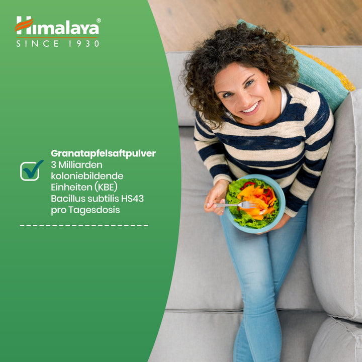 Himalaya Healthy Gut Gummies