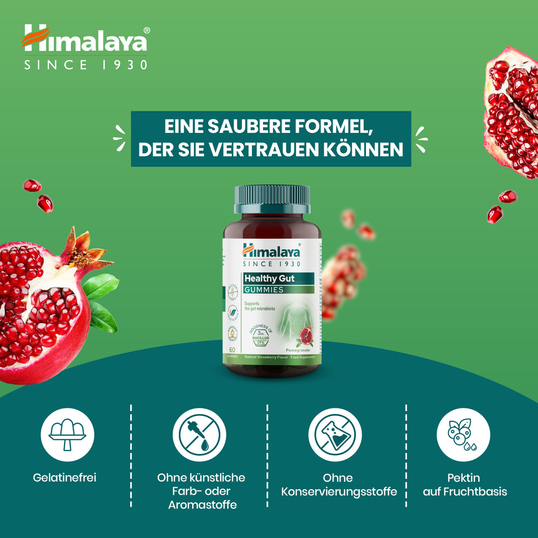Himalaya Healthy Gut Gummies