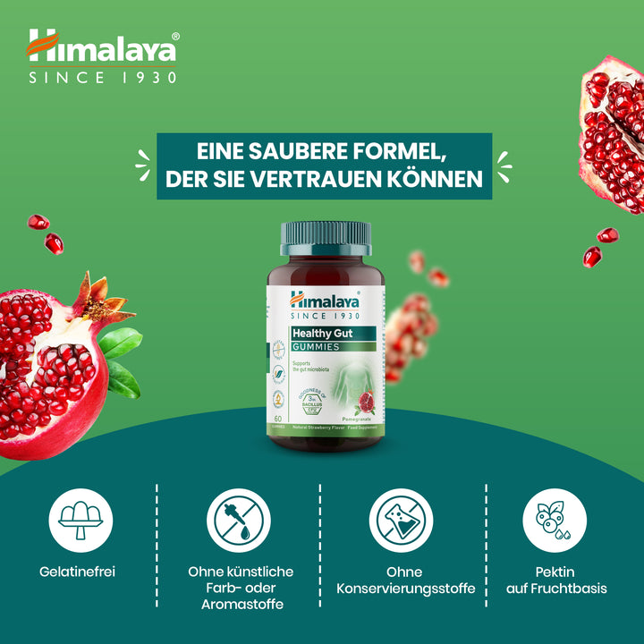 Himalaya Healthy Gut Gummies