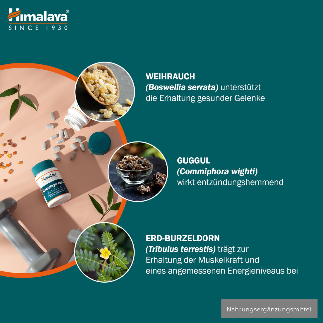 Himalaya Rumalaya forte - 60 Tablets